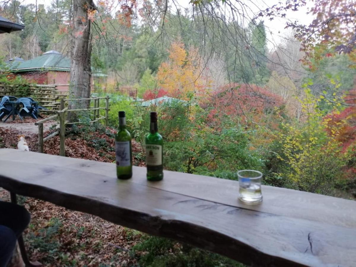 Maple Grove Villa Hogsback Dış mekan fotoğraf