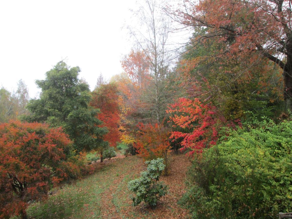 Maple Grove Villa Hogsback Dış mekan fotoğraf