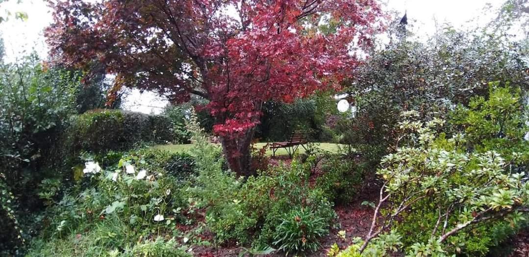 Maple Grove Villa Hogsback Dış mekan fotoğraf