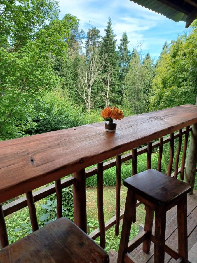 Maple Grove Villa Hogsback Dış mekan fotoğraf