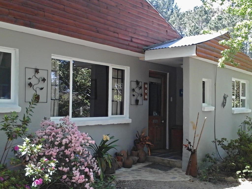 Maple Grove Villa Hogsback Dış mekan fotoğraf