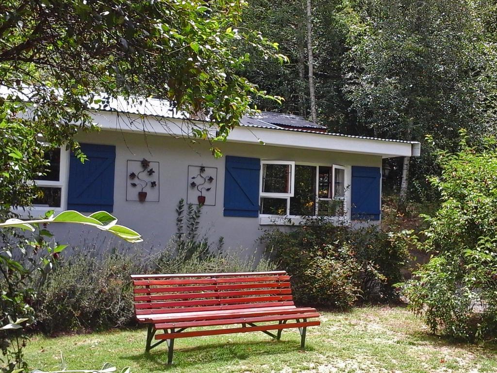 Maple Grove Villa Hogsback Dış mekan fotoğraf