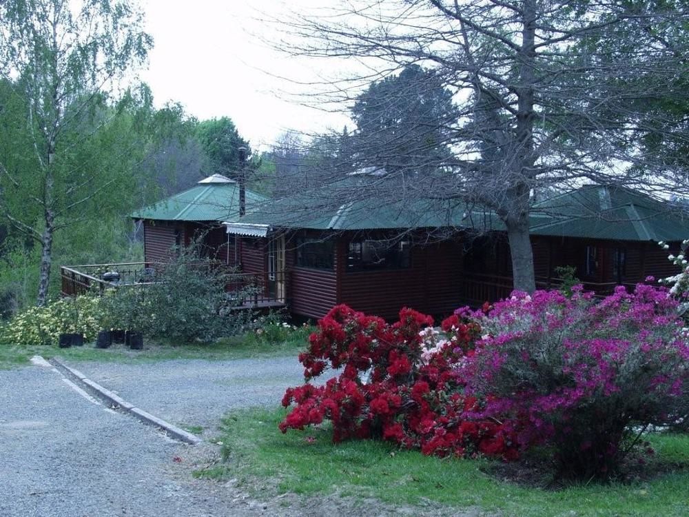 Maple Grove Villa Hogsback Dış mekan fotoğraf