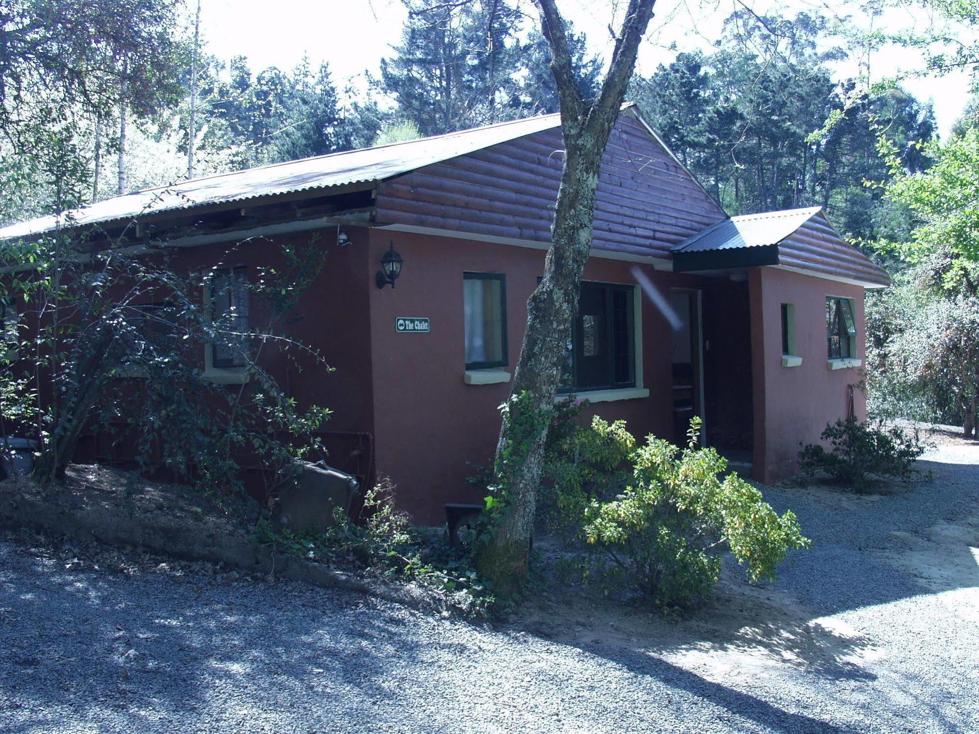 Maple Grove Villa Hogsback Dış mekan fotoğraf