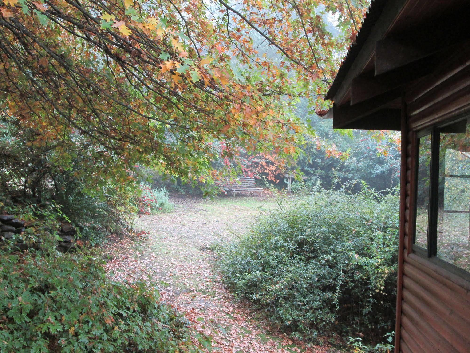Maple Grove Villa Hogsback Dış mekan fotoğraf