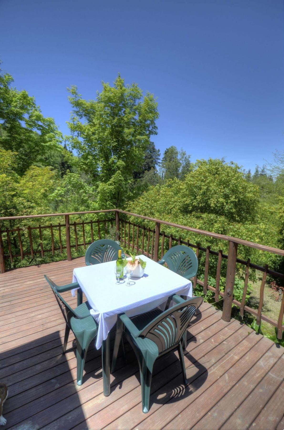 Maple Grove Villa Hogsback Dış mekan fotoğraf