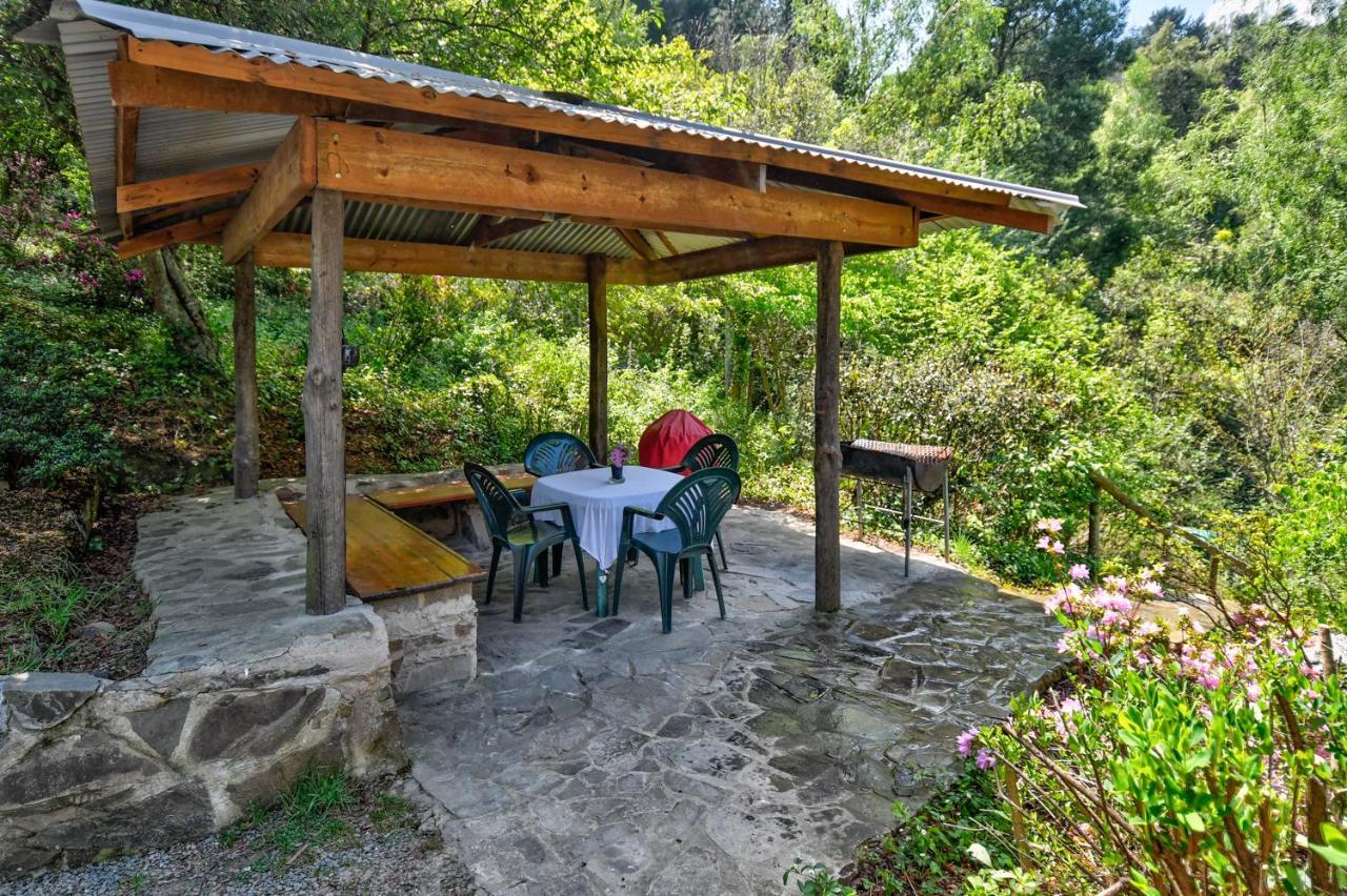 Maple Grove Villa Hogsback Dış mekan fotoğraf